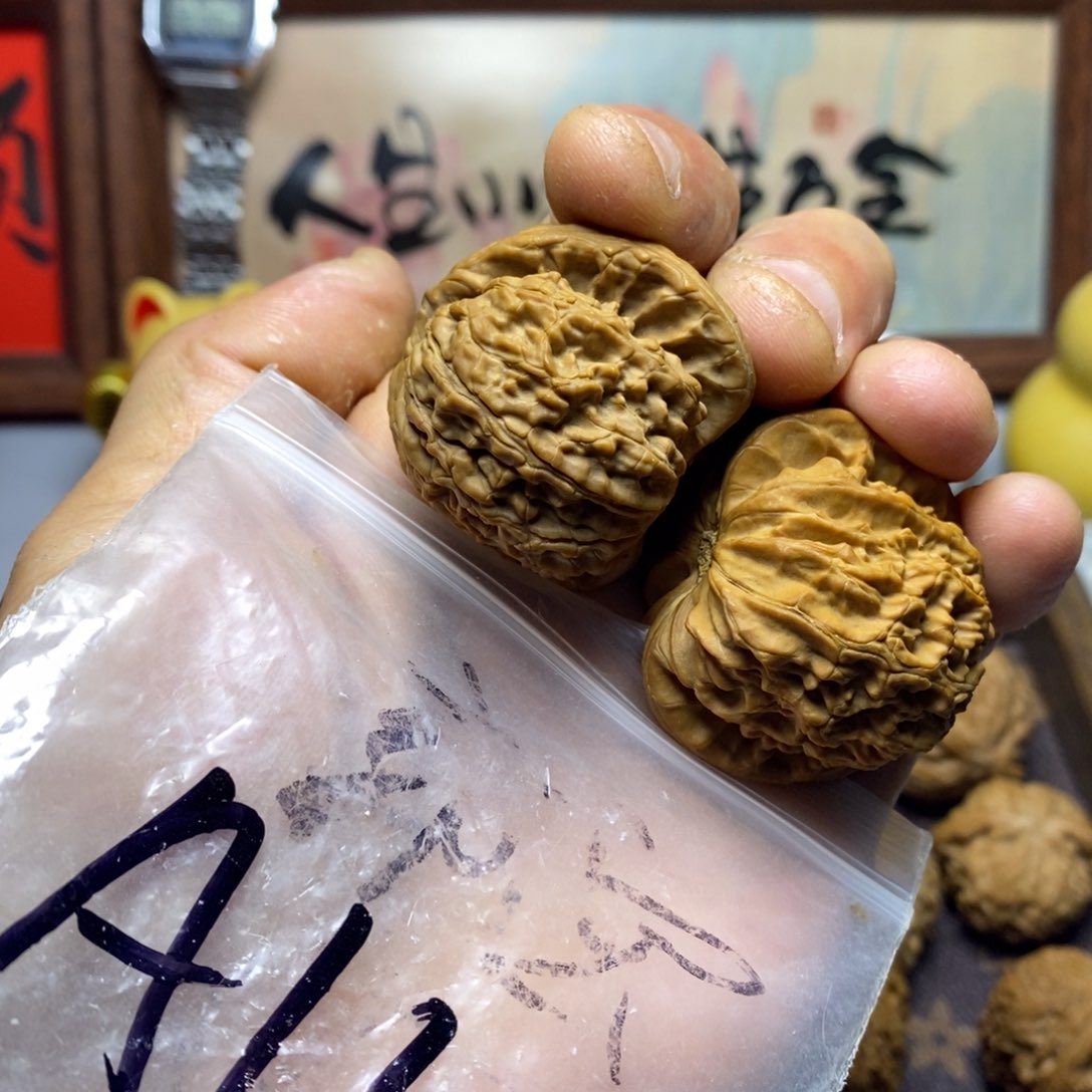 瑞麟文玩核桃白狮子