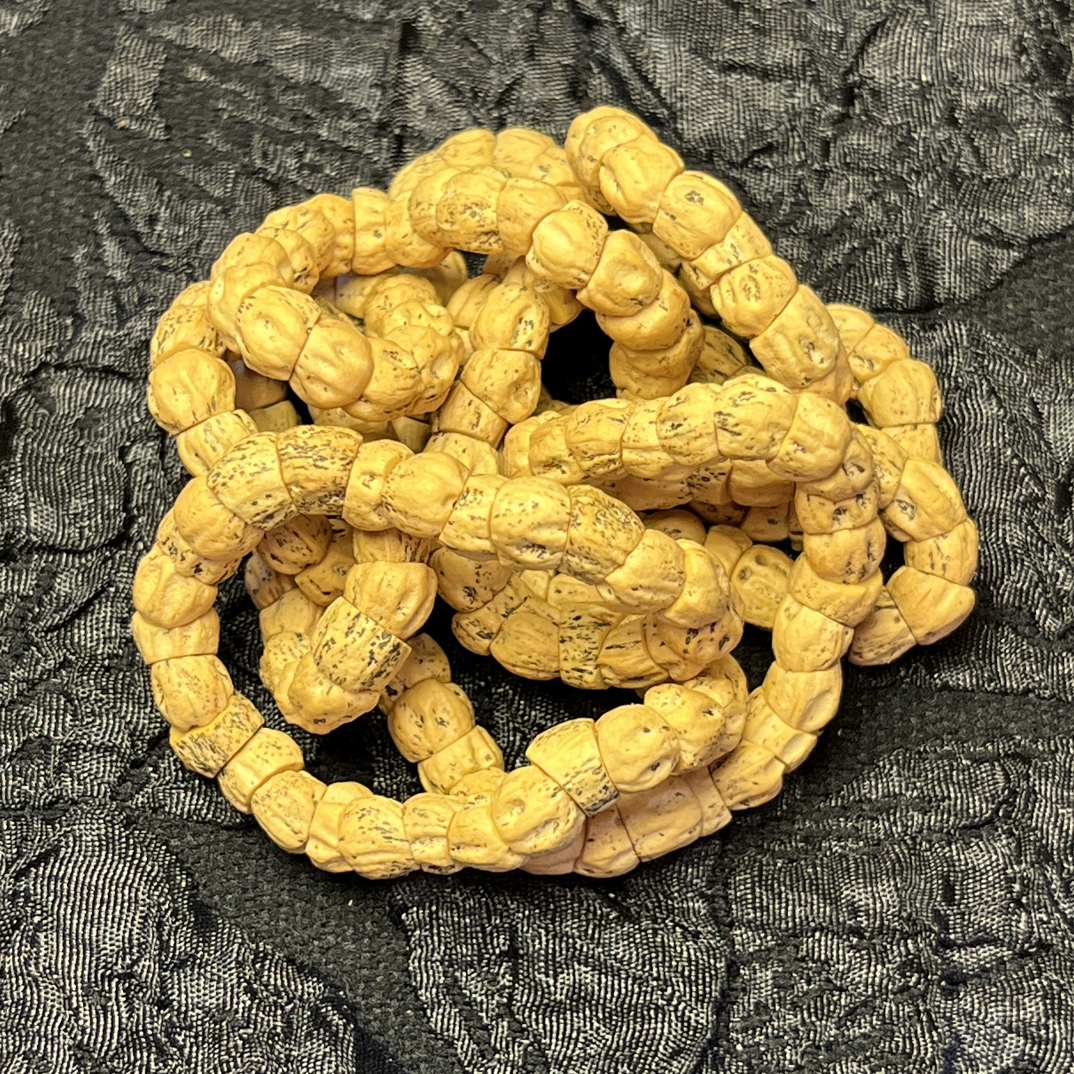 热振柏香籽超规整，直线大肠，带坑小尺寸卡5