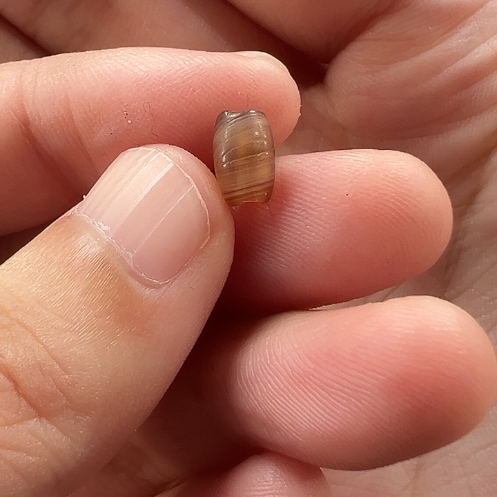 玛瑙/玉髓未镶嵌珠宝半成品F2 4.7-7.2