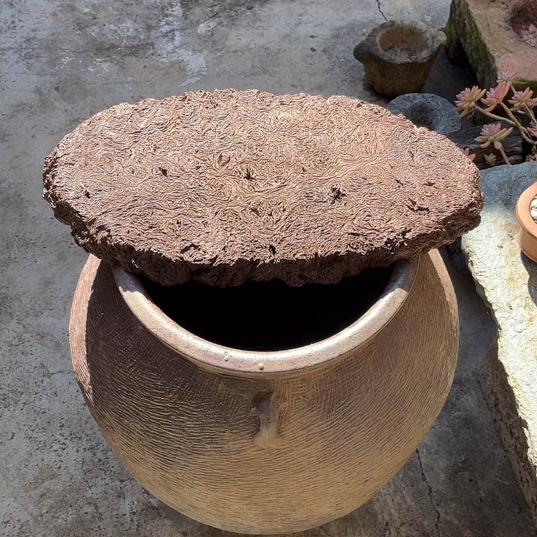 随***.有机玻璃铁栎木干泡台