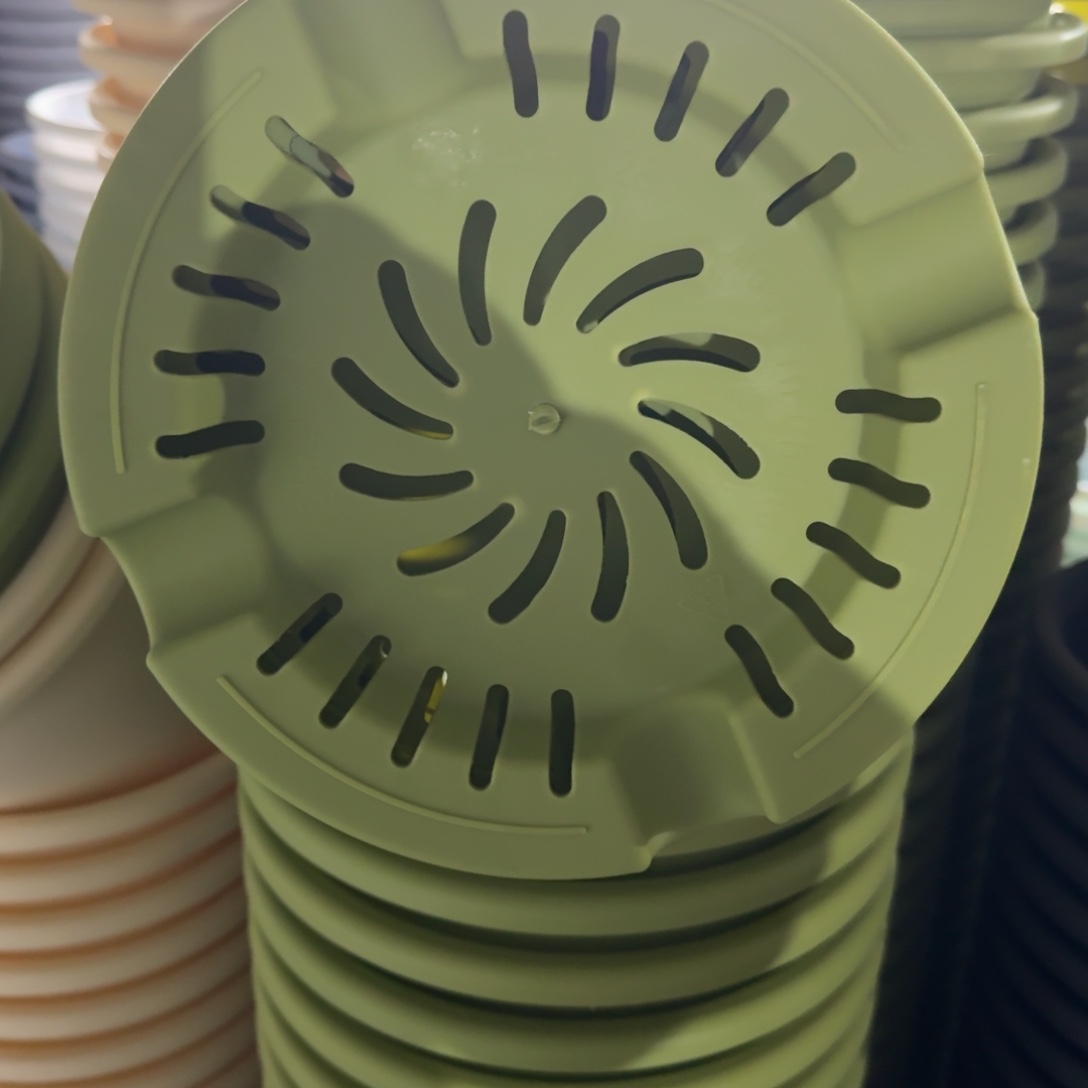 四季6号3个果绿色的