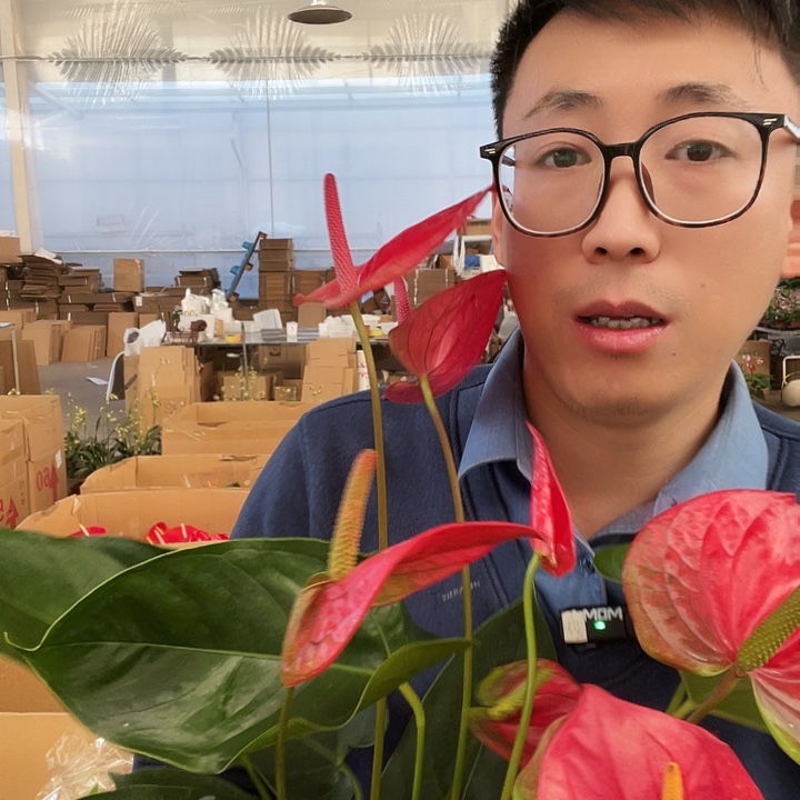 完全开放172大的172