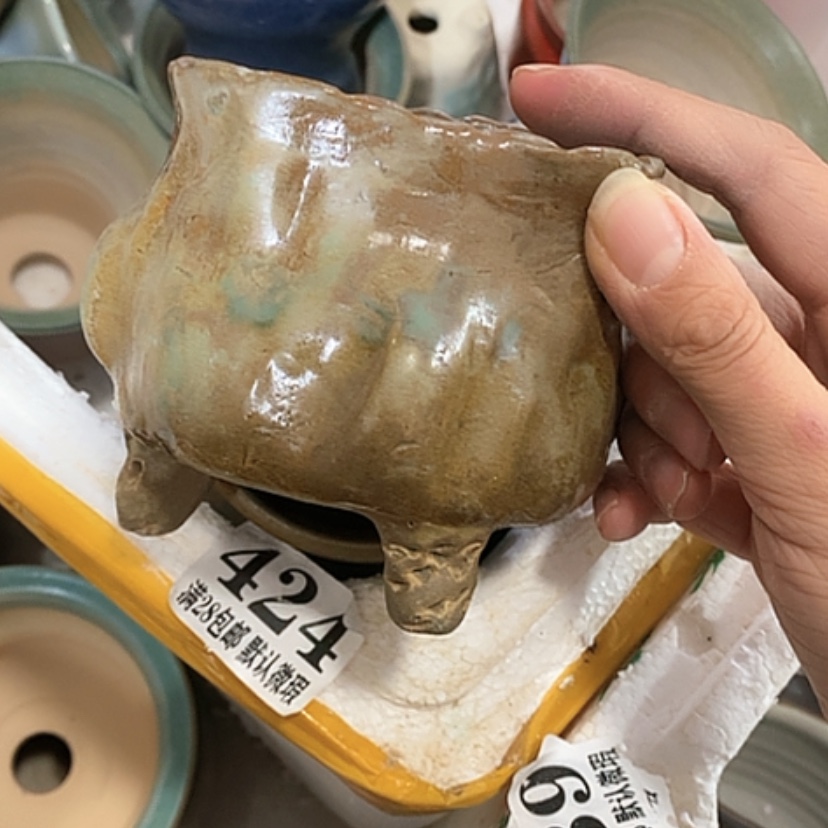 【闪购商品】红陶口8