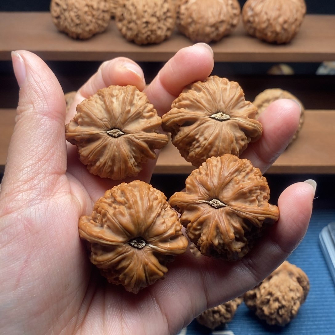 文玩核桃把件念**?白狮子