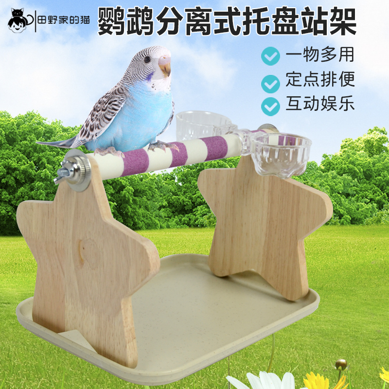 鹦鹉定点排便站架桌面落地站台玄凤牡丹虎皮专用磨砂站架站杆棒