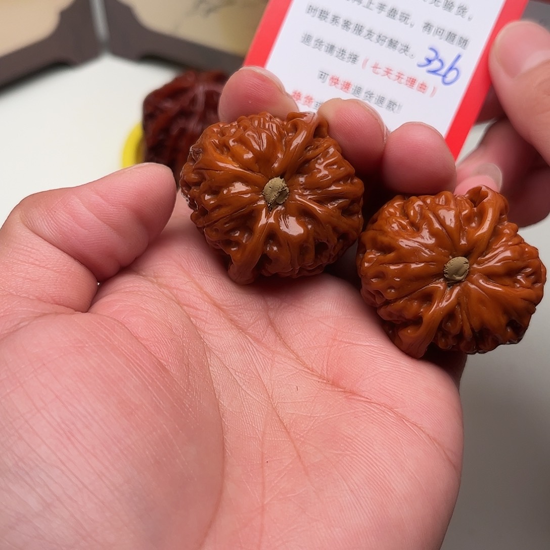 C***S326。37尺。 水龙纹