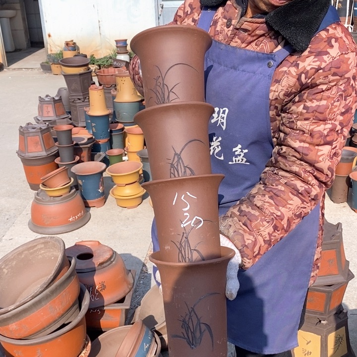 紫砂花盆盆栽花卉苗木种植