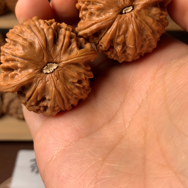 与***舞大叶紫檀（黑酸枝木类）金麒麟2