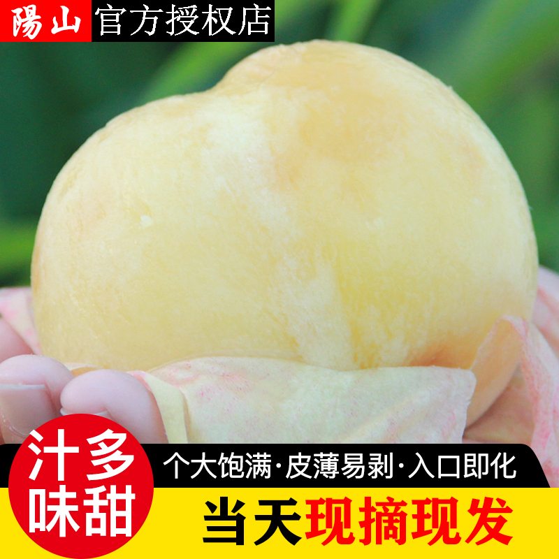 【6-7两】正宗无锡阳山水蜜桃新鲜水果应当季白凤湖景礼盒空运