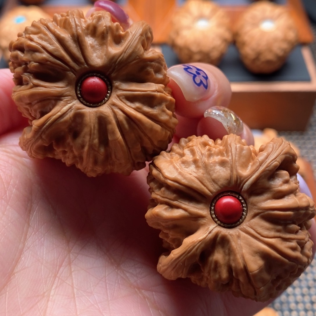 文玩核桃把件43尺寸白狮子➕镶嵌