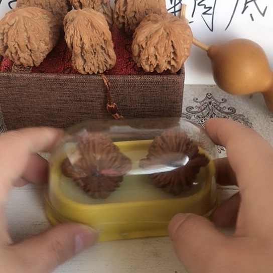 许***翔四座楼狮子头190四座楼狮子头