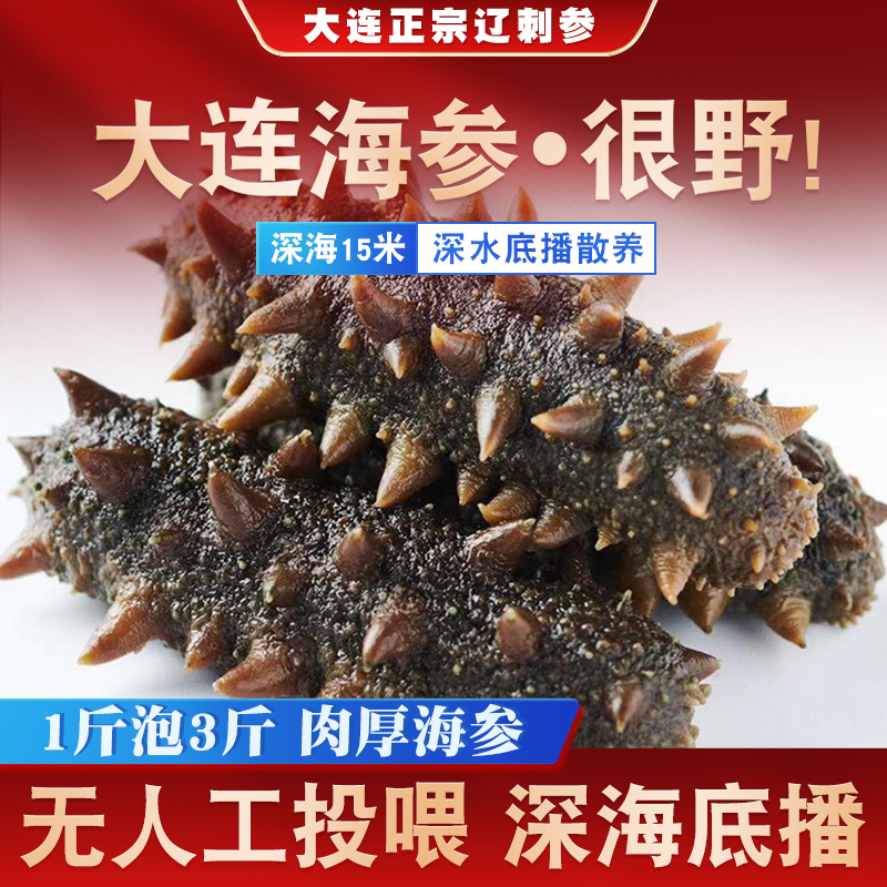 大连辽刺参深海拉缸盐海参[27-33头左右/500g]顺丰包邮