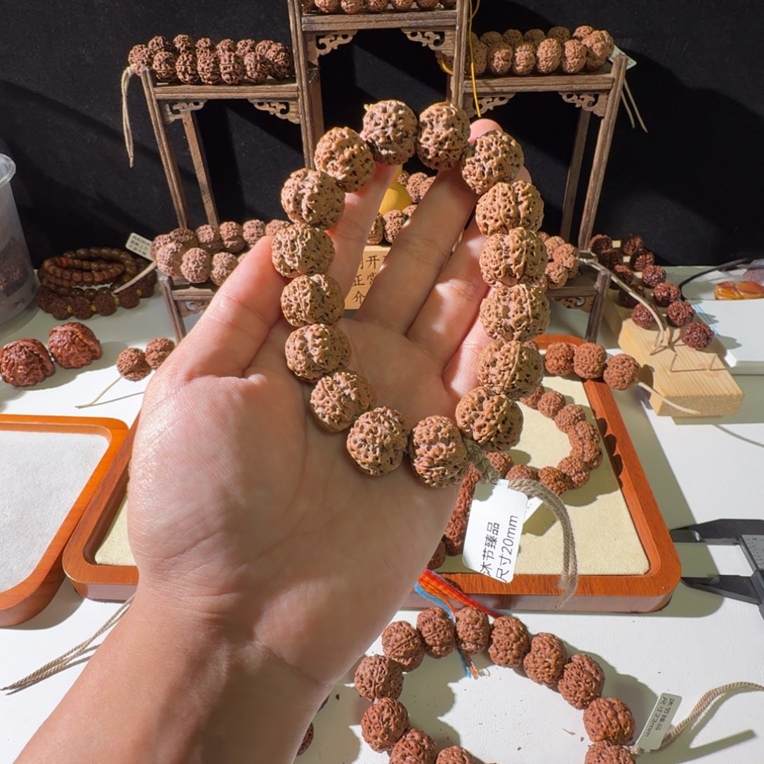 手串金刚菩提20尺寸梅花头货