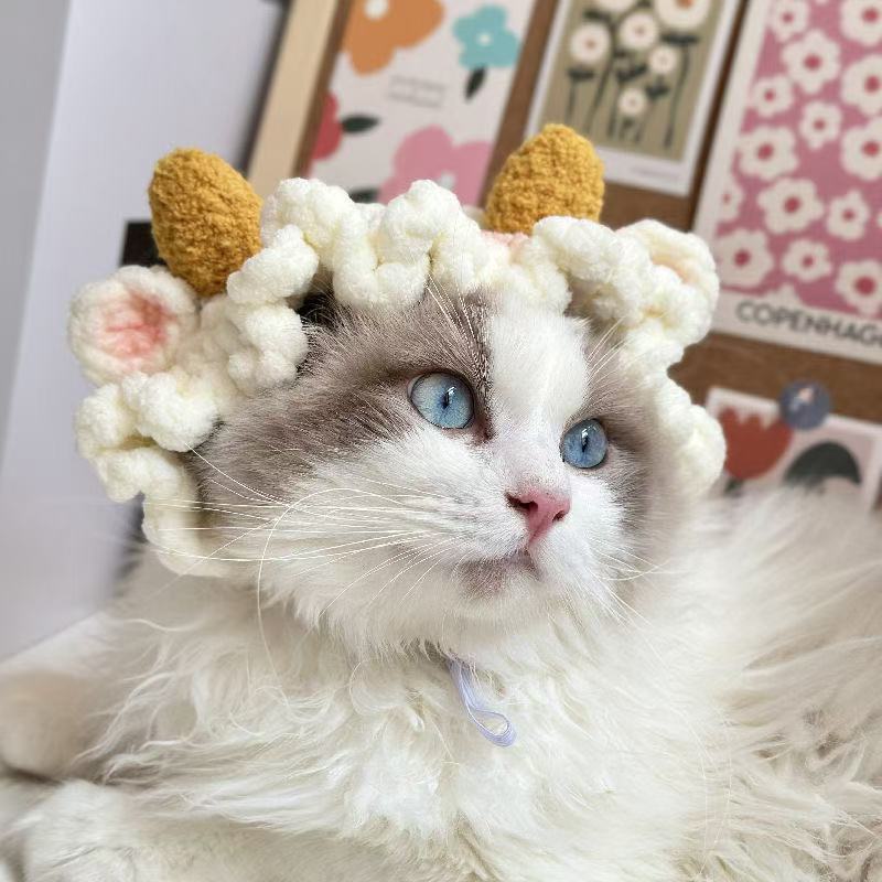 宠物狗狗猫咪变装帽子小猫头套搞笑可爱头饰拍照道具搞怪毛线帽子