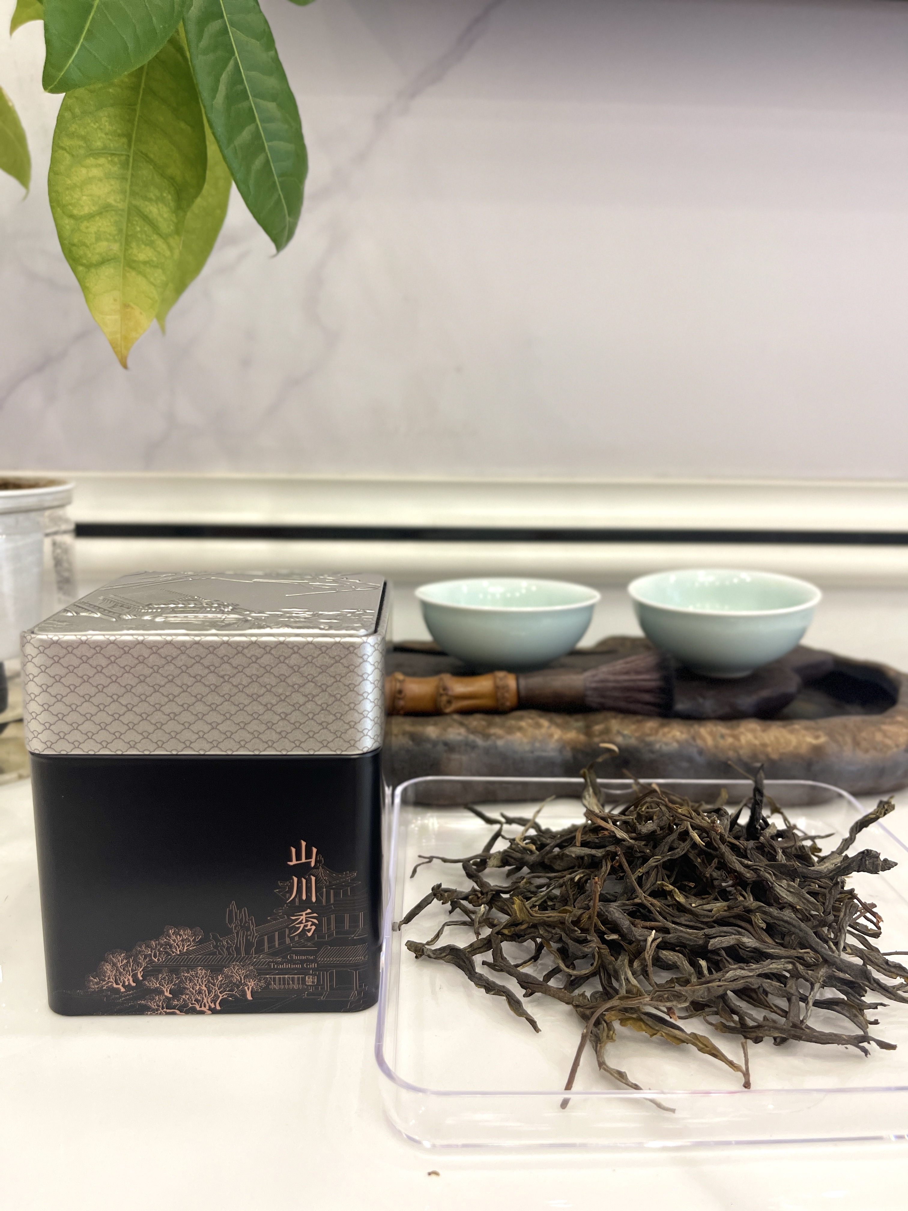 必买分享装：2025年大雪山一号单株生茶 24克