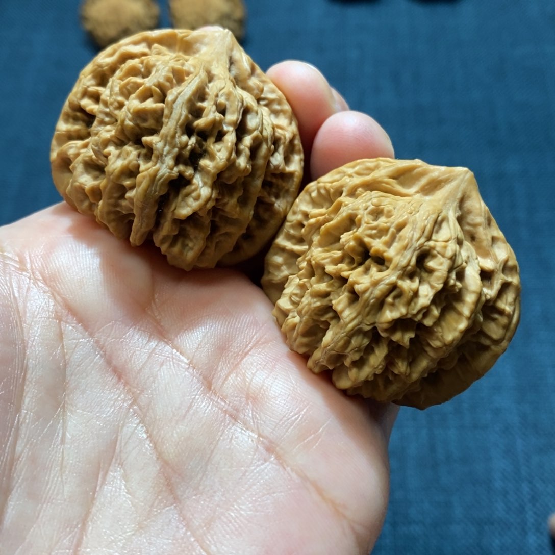 桃核吊坠野生龙脊40