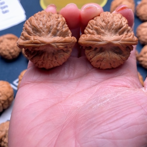 橄榄核手串/手链南***0莲花