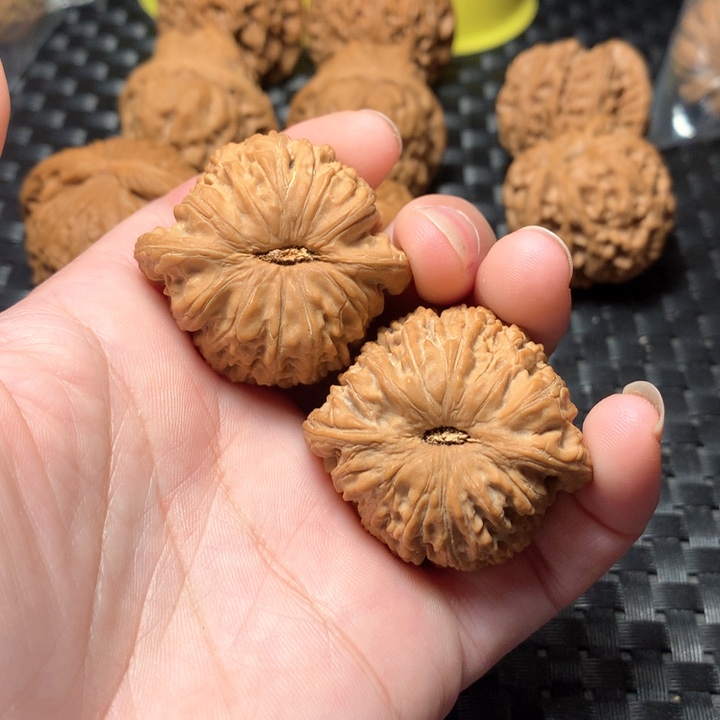 文玩核桃吊坠泥鳅贝