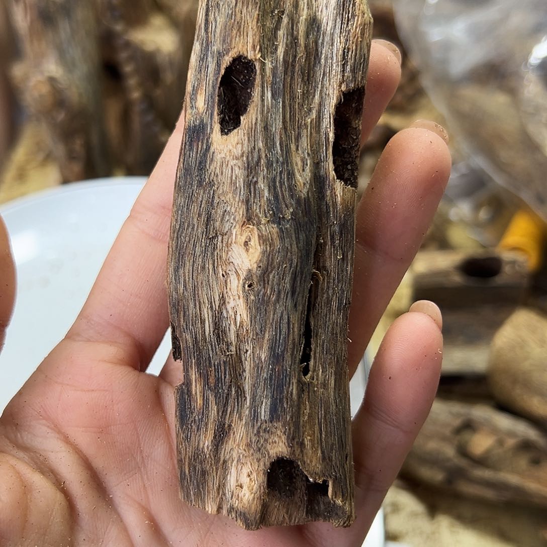 木绿奇楠虫漏原材料19克