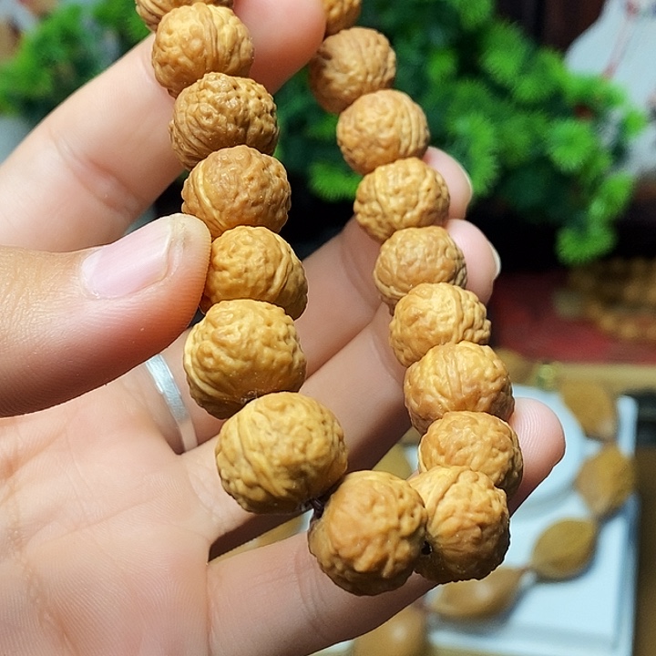 手串/手链橄榄核hhjjhhhhhhhhhhhhhhhnnnn