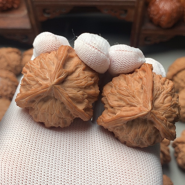 A***己核桃核桃等经济作物和蔬菜