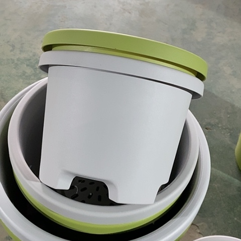 树脂球根21口径5个果绿无托