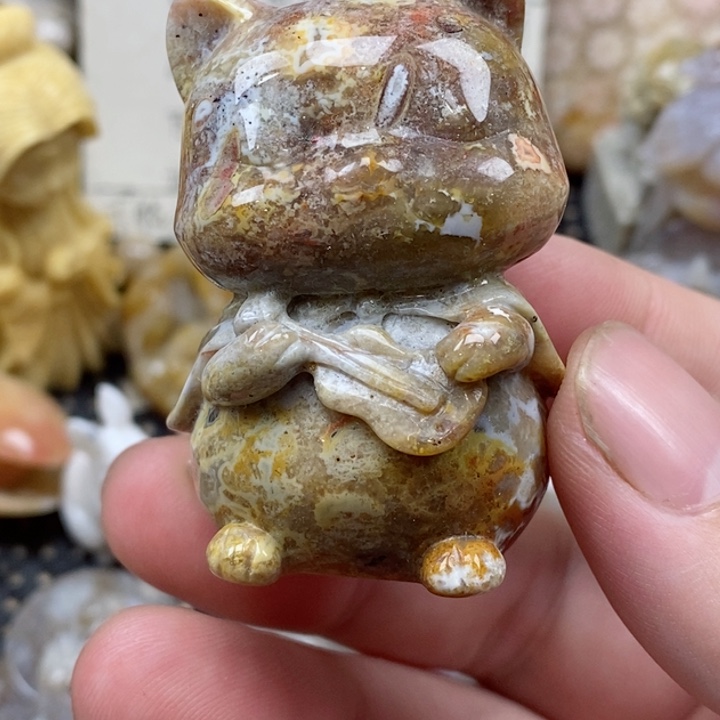 颈饰未镶嵌硅化珊瑚（珊瑚玉）7***j