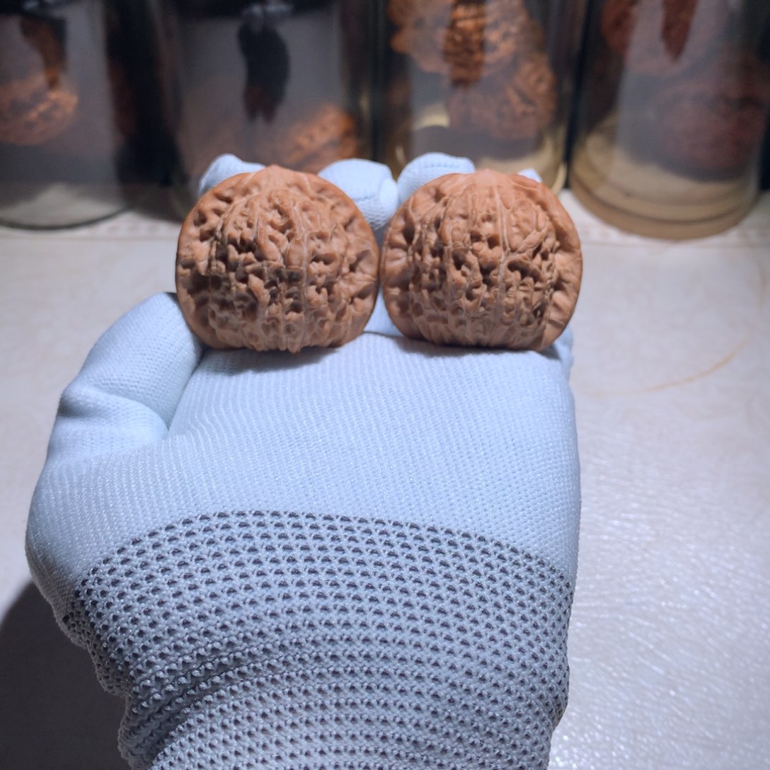 吊坠文玩核桃树王无药血麒麟