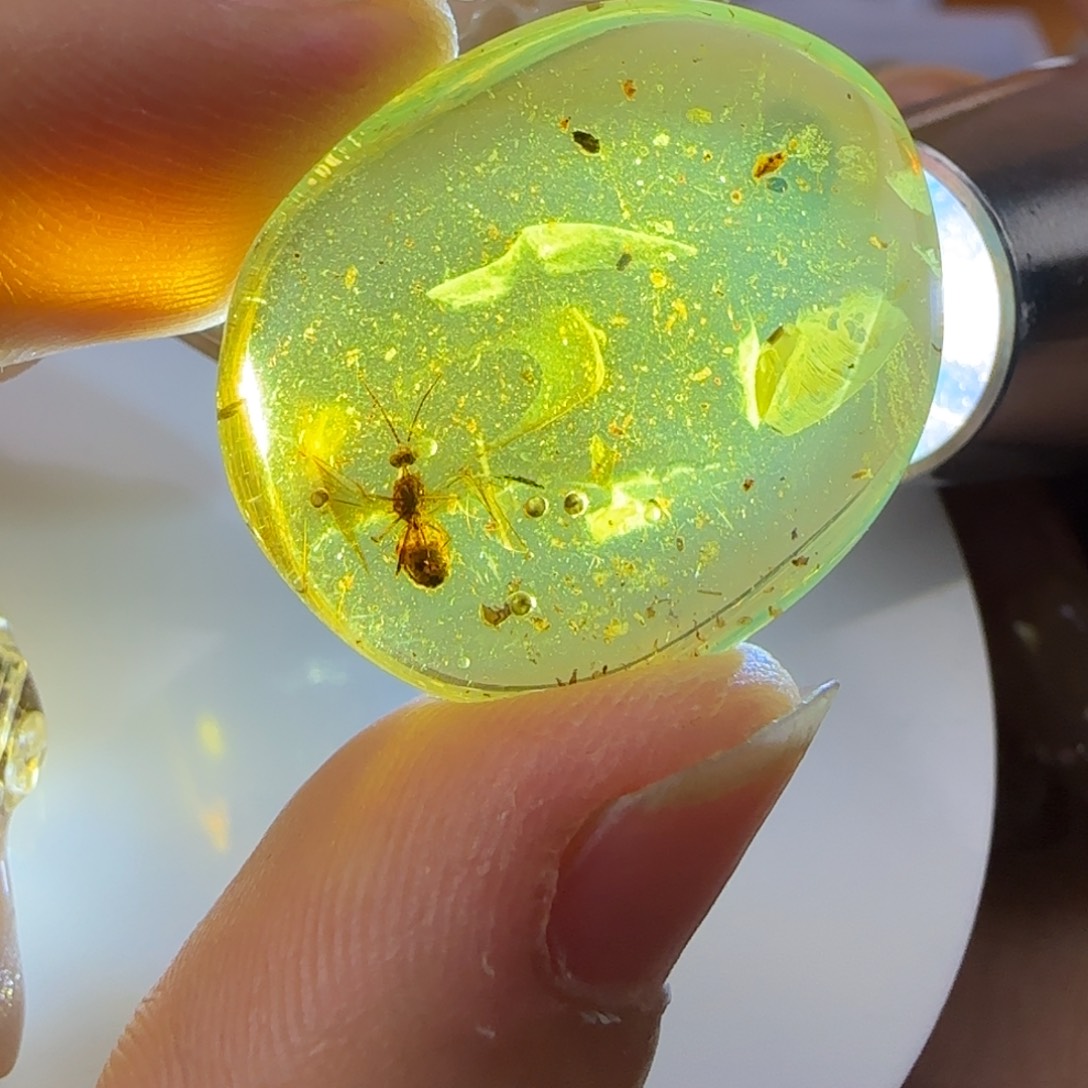 琥珀裸石未镶嵌蜂