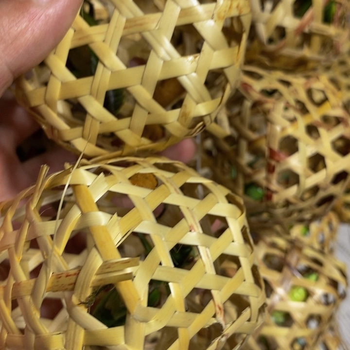 狼牙山野生山青绿蝈蝈2
