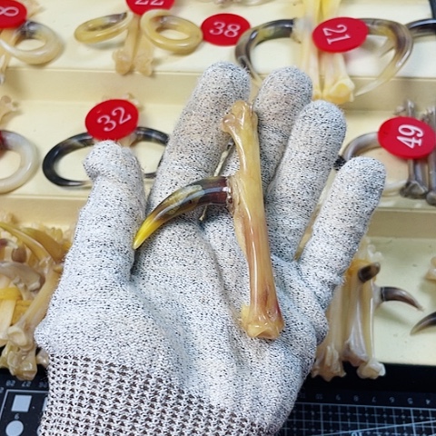 鸡骨（鸡脚）手串/手链?*