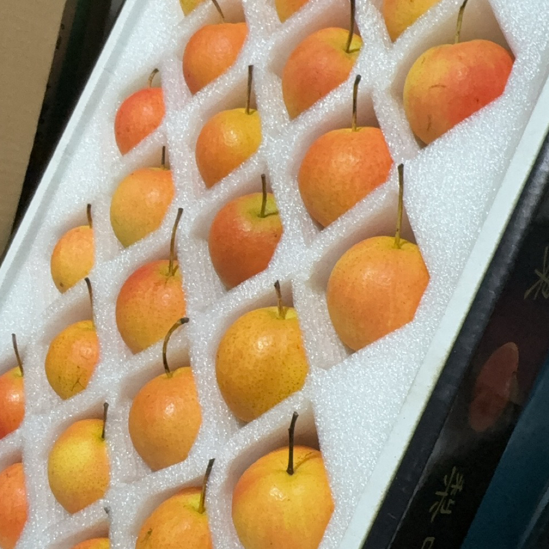 辽宁鞍山特产红南果4斤半精品礼盒装
