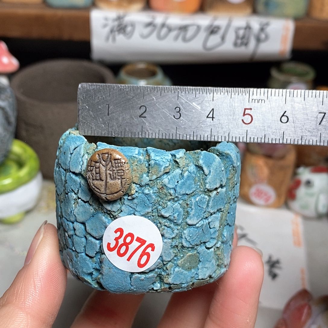 红陶拍5送一个小