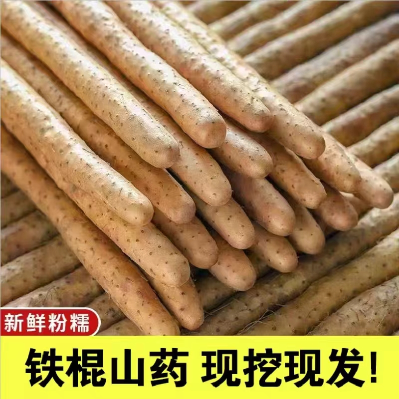 铁棍山药小白嘴山药产地直发粉糯甘面新鲜带土箱直达5斤50-70cm