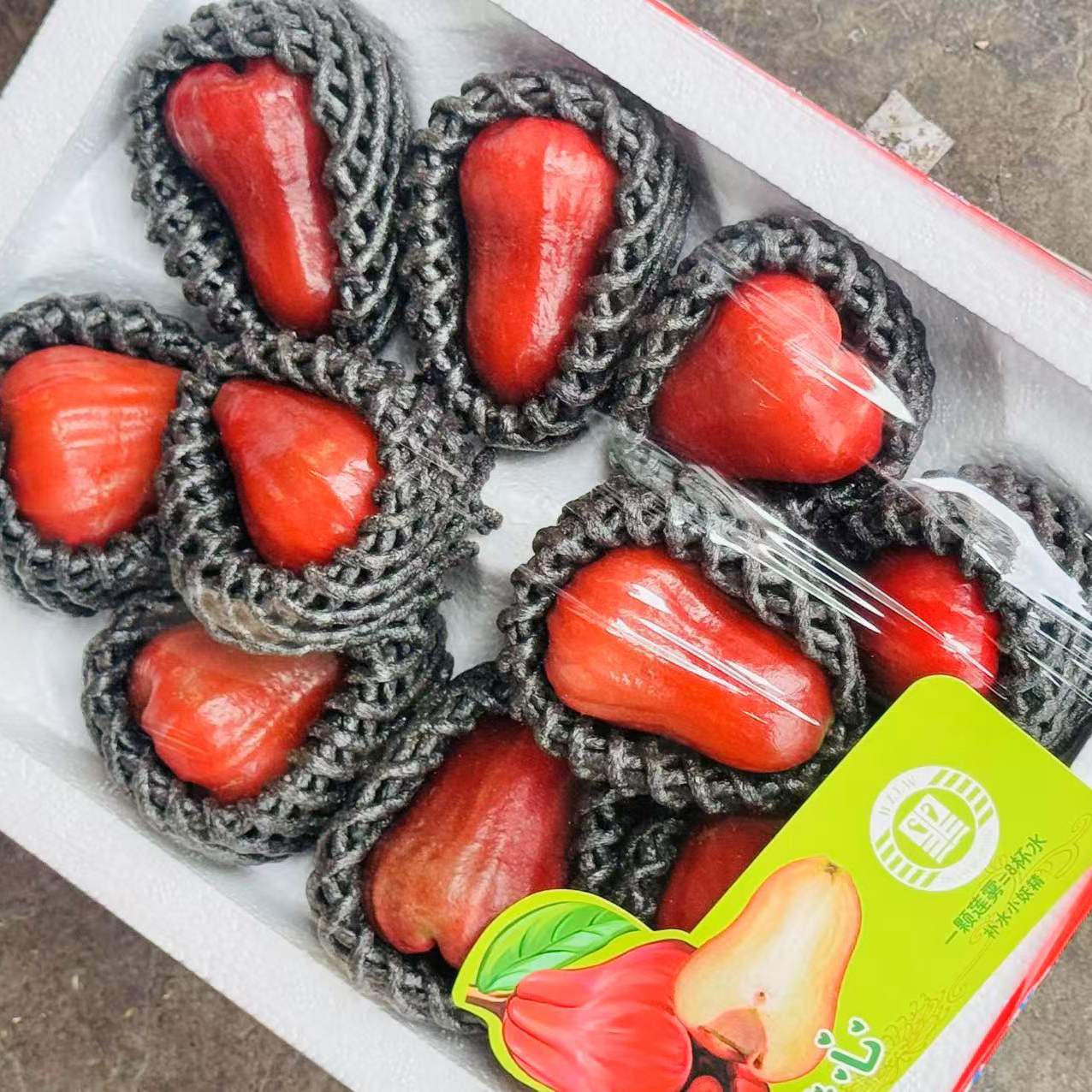 海南黑金刚莲雾2斤毛重；当季热带雾莲仙女果孕妇水果