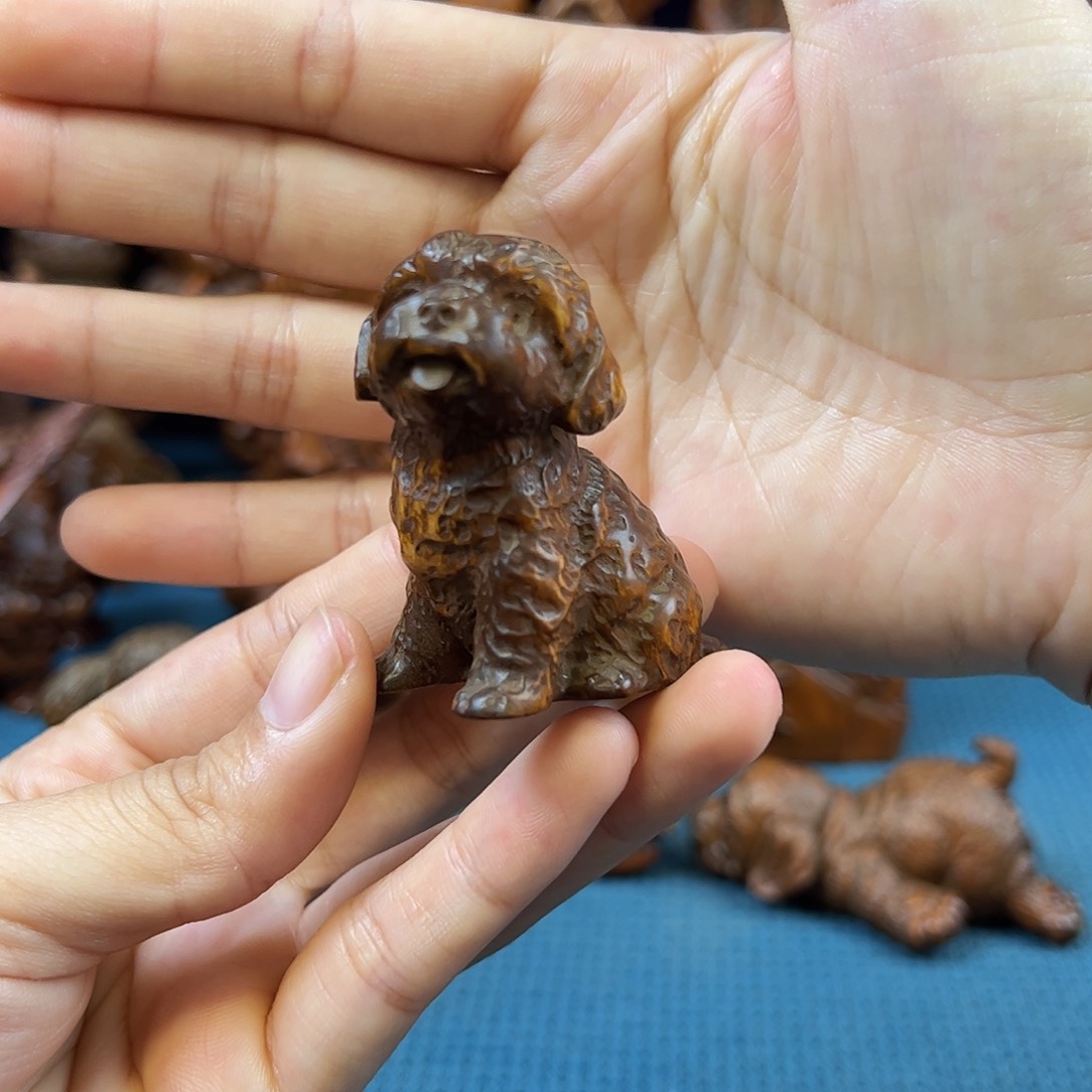 黄杨木小叶黄杨木