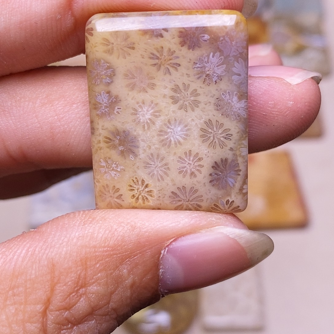 锦***Ꮤ硅化玉合金珊瑚玉