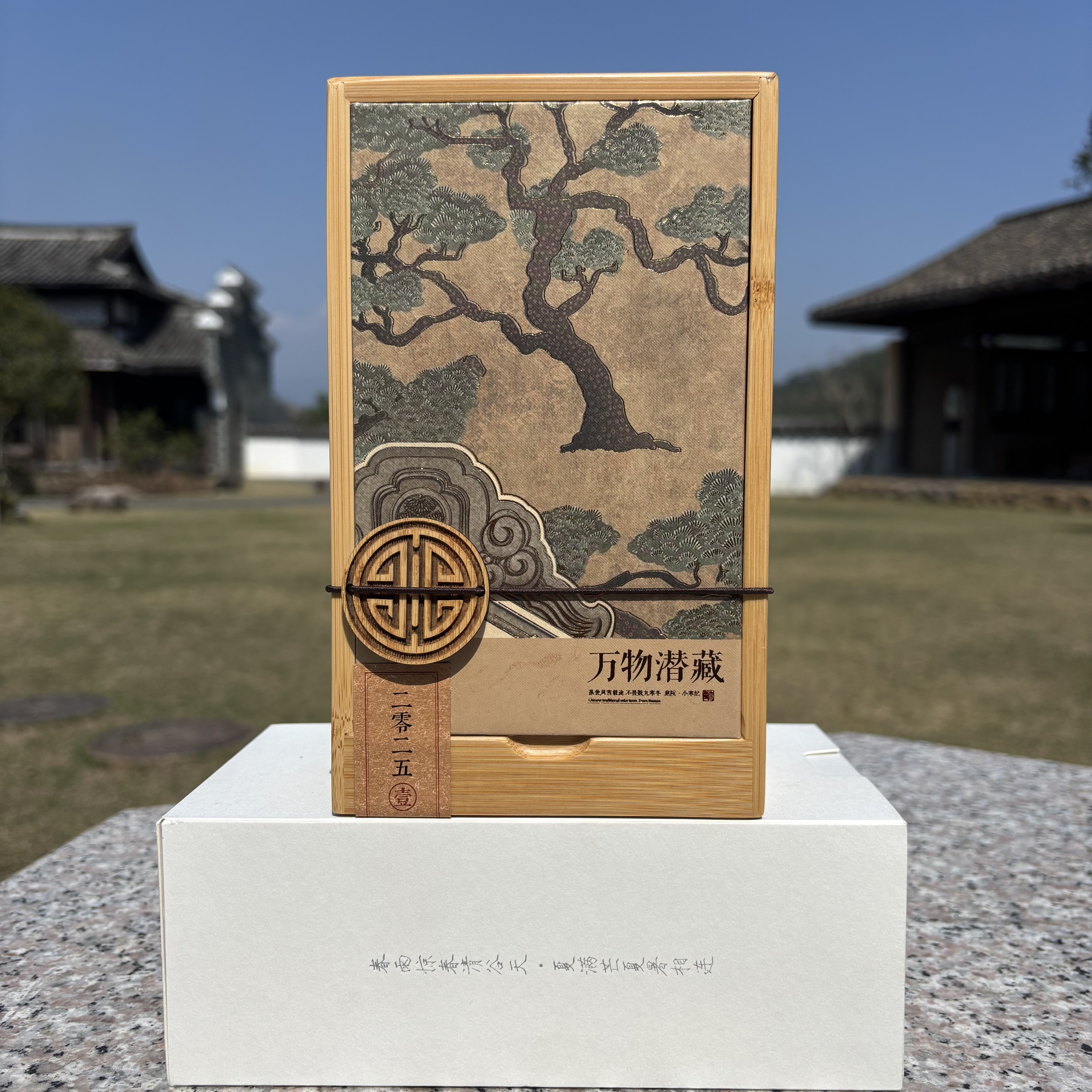 万物潜藏06  2013年九龙袍  武夷岩茶 50g