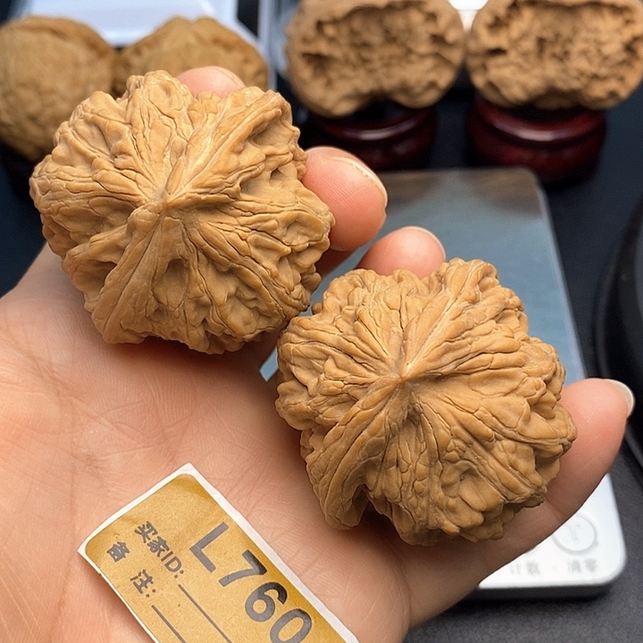 吊坠文玩核桃大沽石4:6