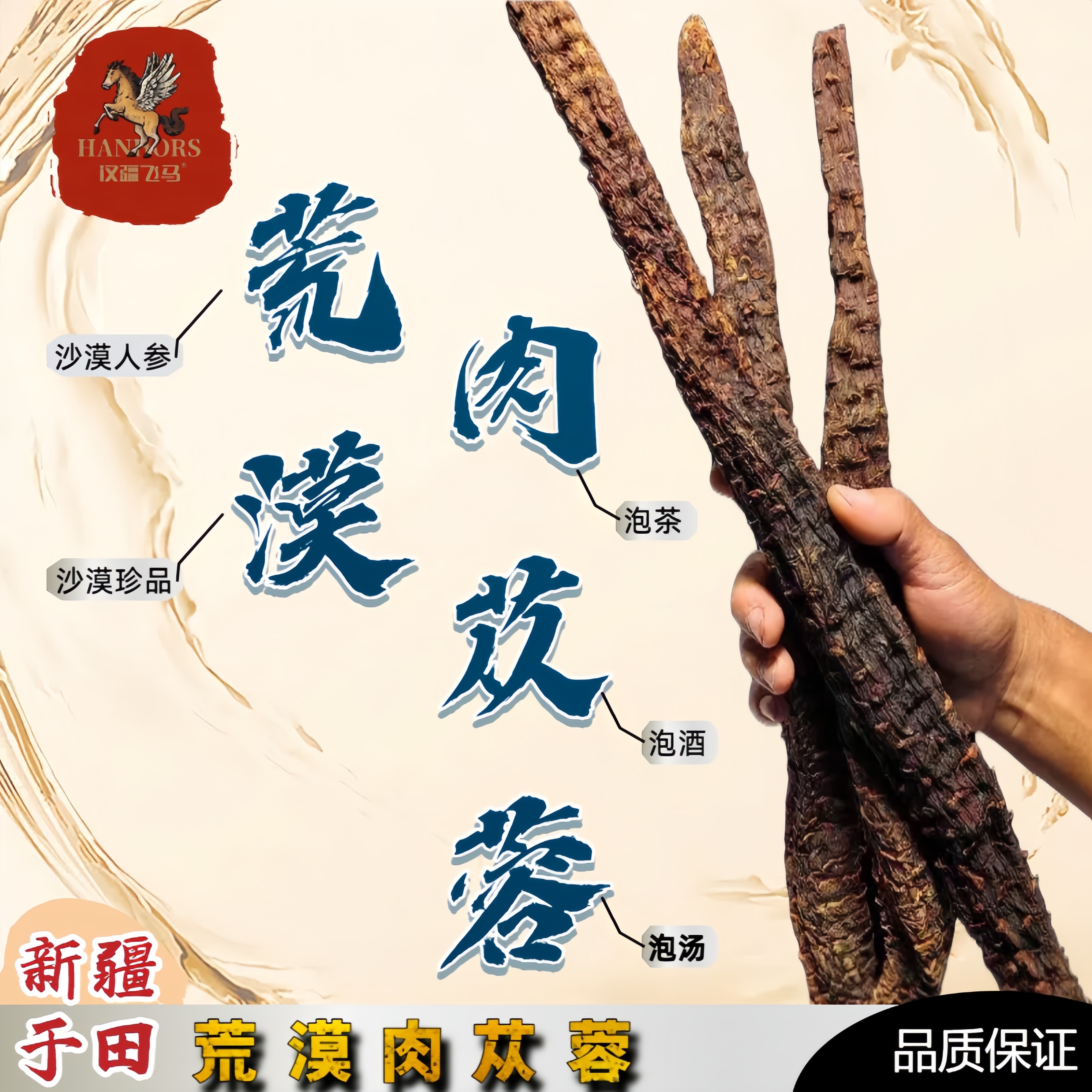 【油性肉枞榕】正宗和田直发沙漠人参肉肉枞榕大芸泡水炖汤泡酒