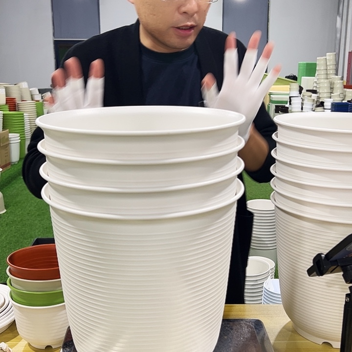 正品高陶口27高27白色4只无托