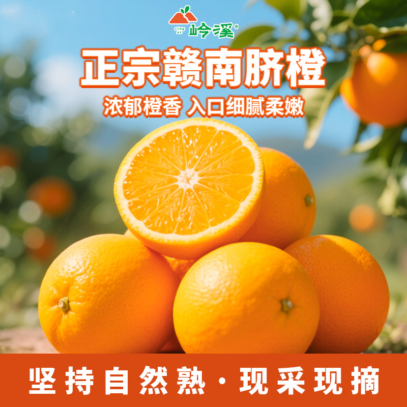 正宗江西赣南脐橙新鲜应季水果赣州脐橙精品果现摘现发