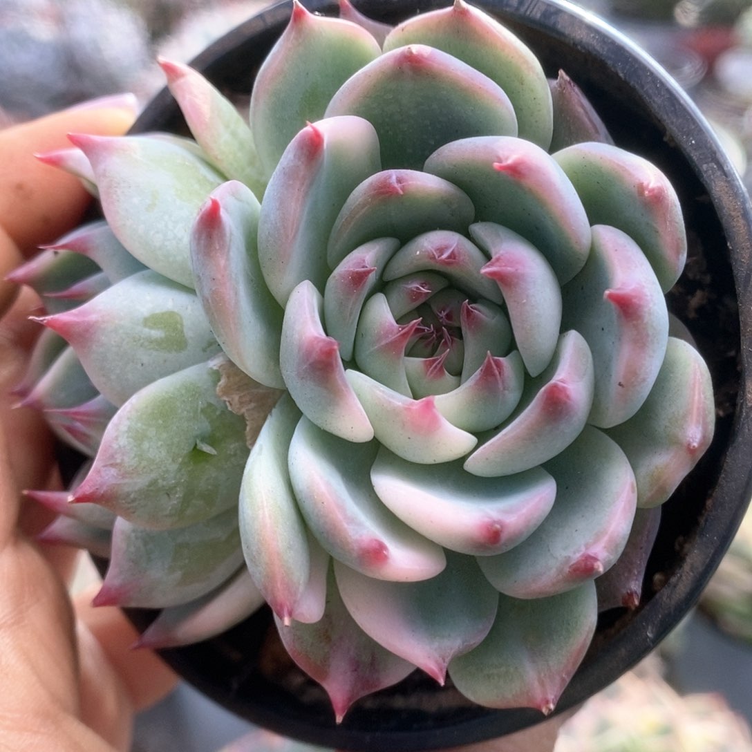 073哈哈哈哈哈哈哈哈哈哈