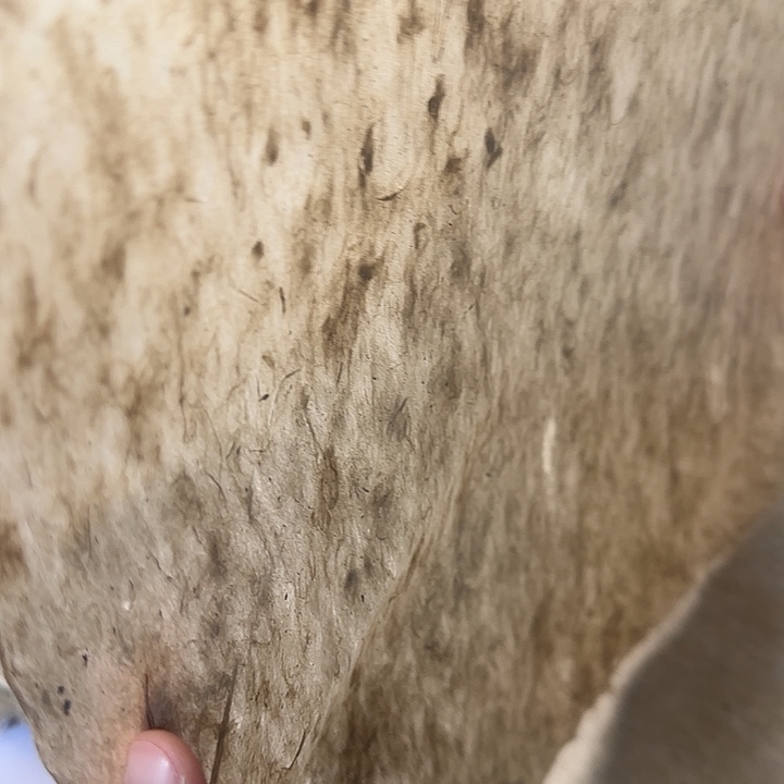 浅烟灰色皮纸加厚皮纤维 43×43cm100张微瑕