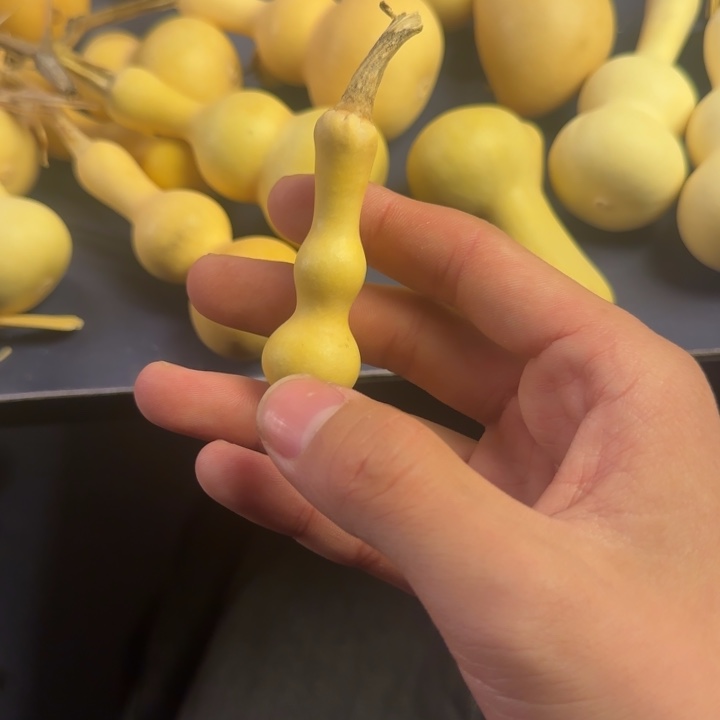 杜***铭大叶紫檀（黑酸枝木类）