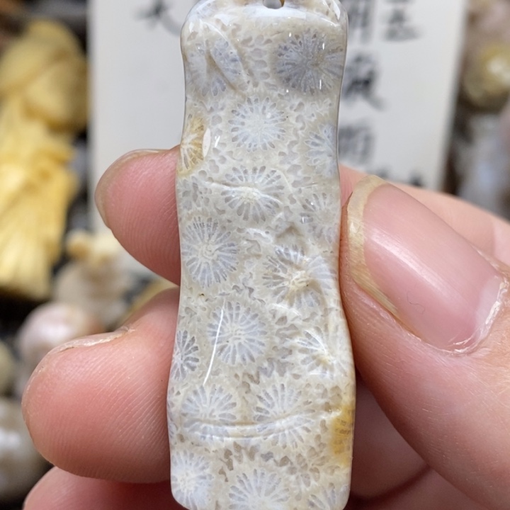 硅化珊瑚（珊瑚玉）未镶嵌颈饰