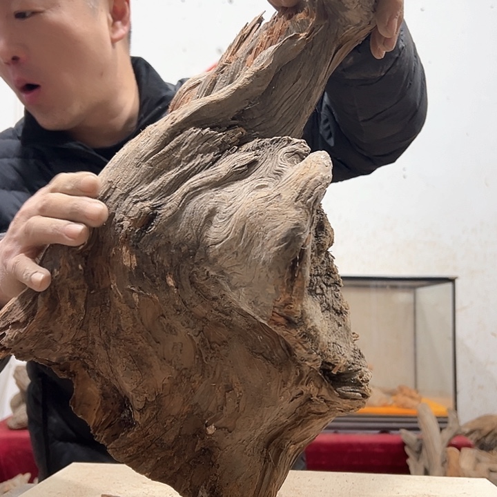 柏木红****家我们的生活是以自己