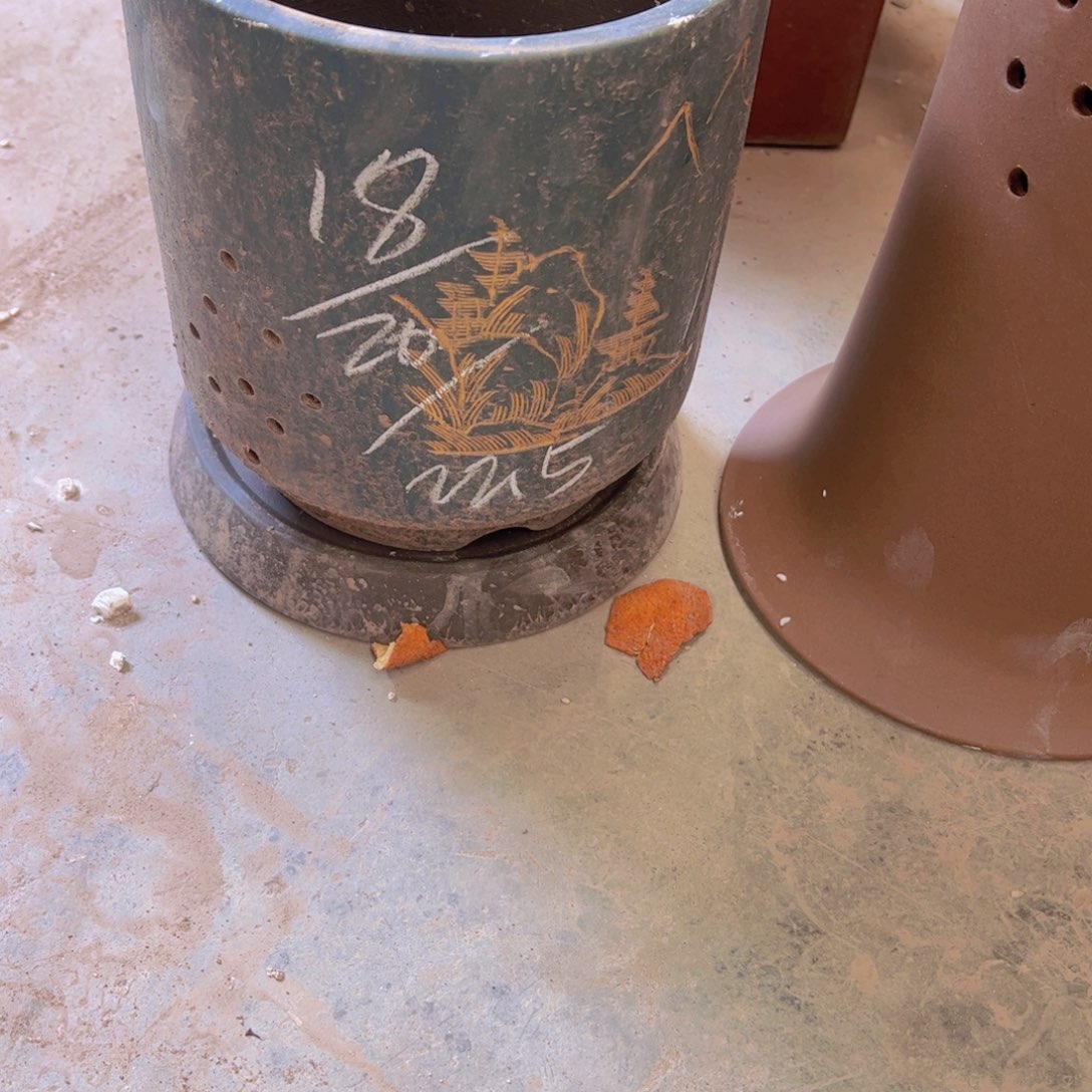 30…………………………………………