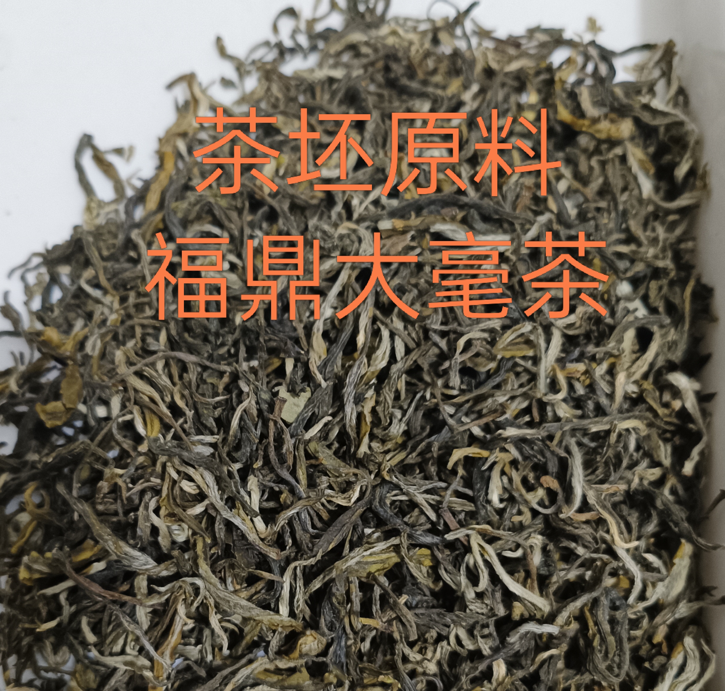 2025年 茉莉花茶 福建茶坯七窨福鼎大毫茶 