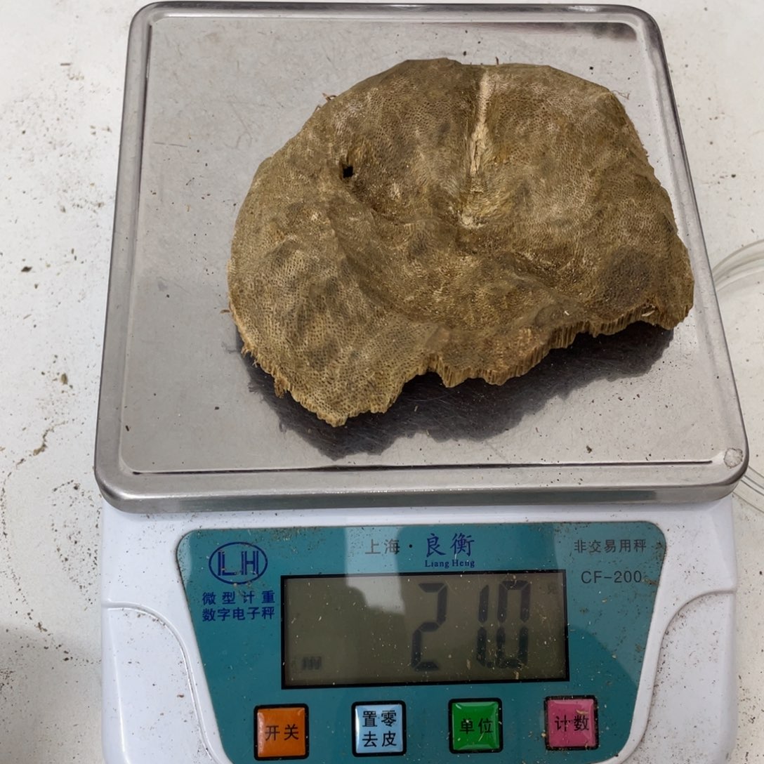 沉香沉香木制品奇楠原母树老头21克